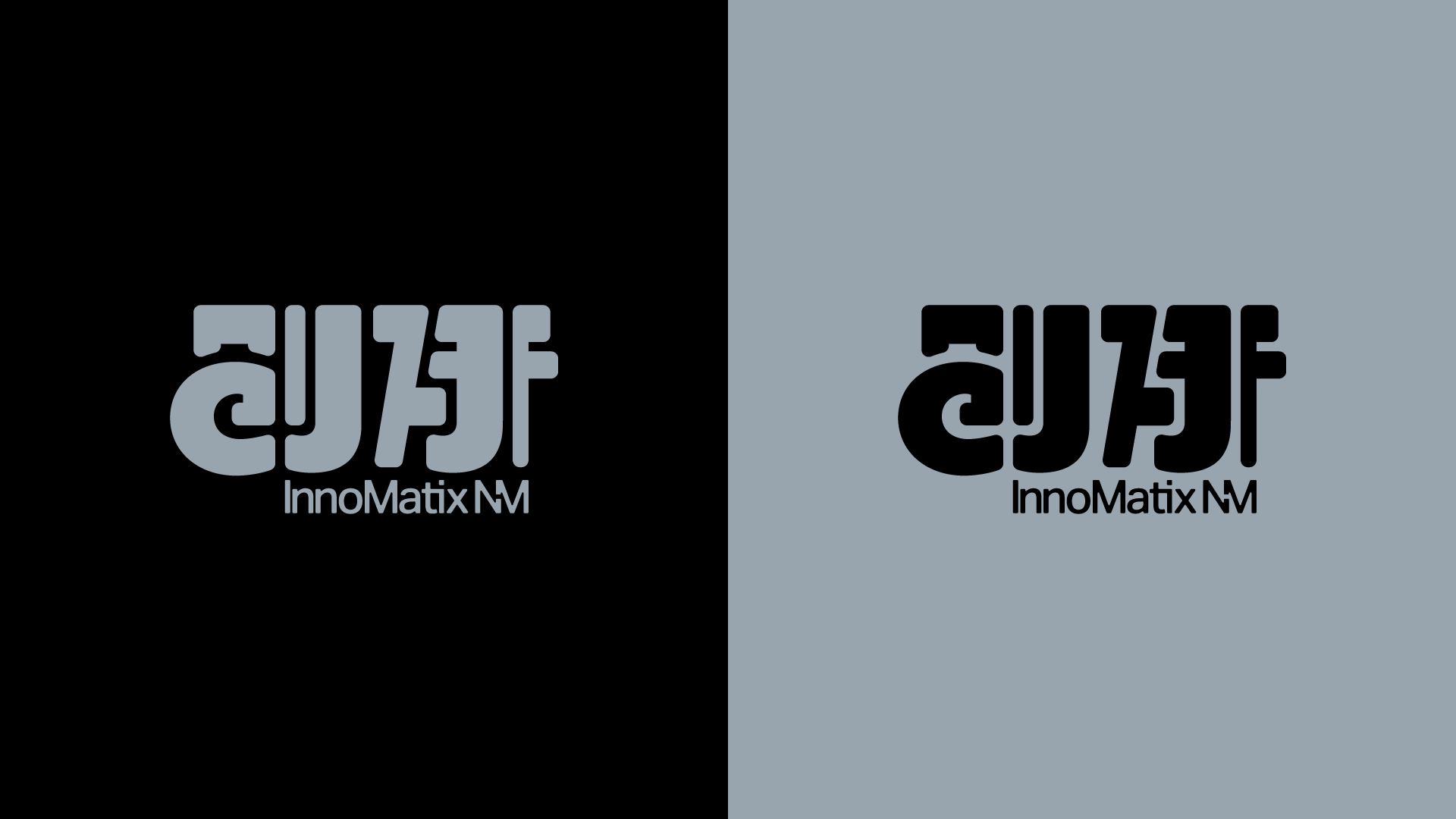 InnoMatix NM logo shown in black and white.